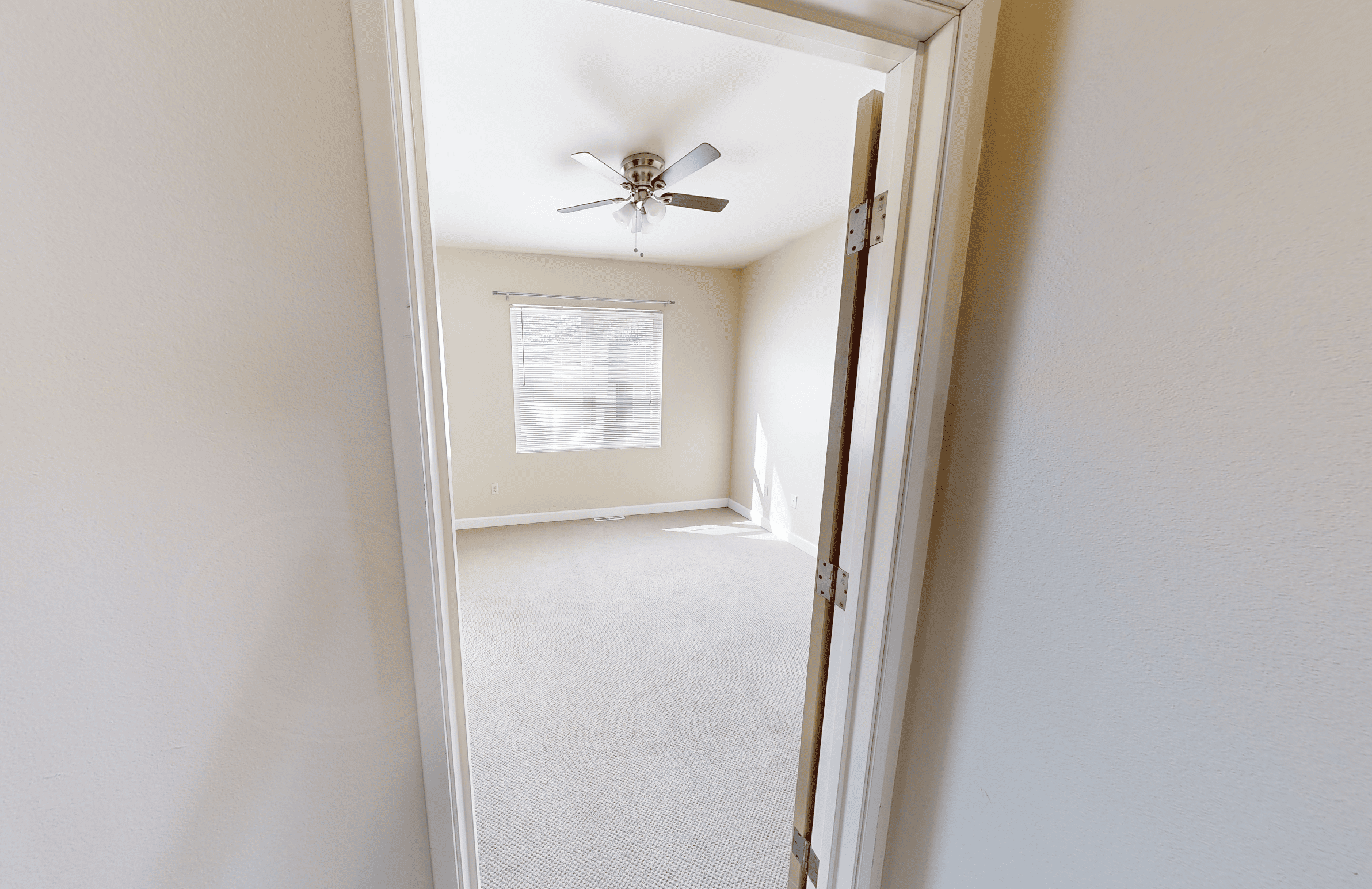 Gallery Photo 18